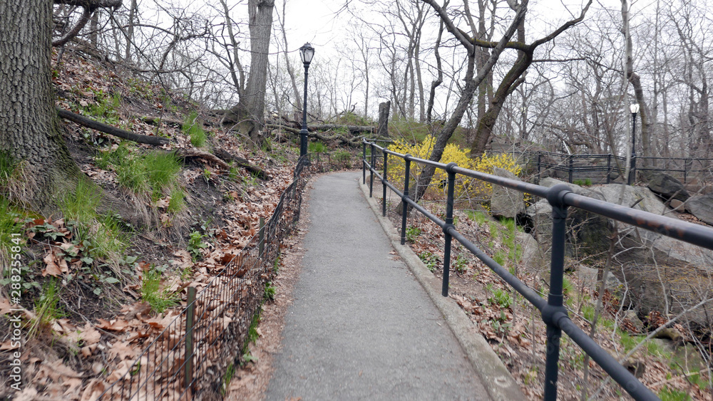Walking path Spring Central Park