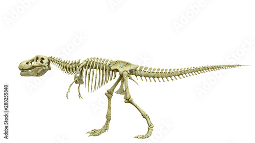 tyrannosaur skeleton pose three