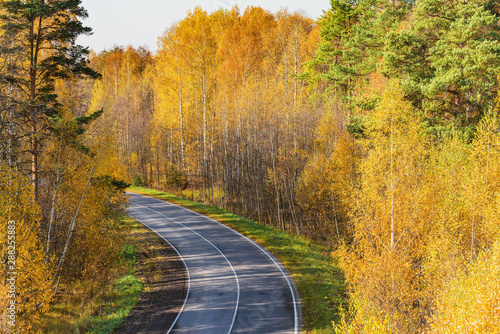 View of the empty road in the autumn forest.