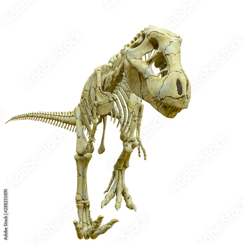 tyrannosaur skeleton walking slowly