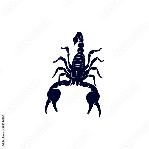 Scorpion Logo Vector  vector image for the tattoo  symbol or logo  Illustration Template