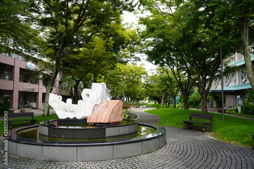 松山（愛媛大学と市電)