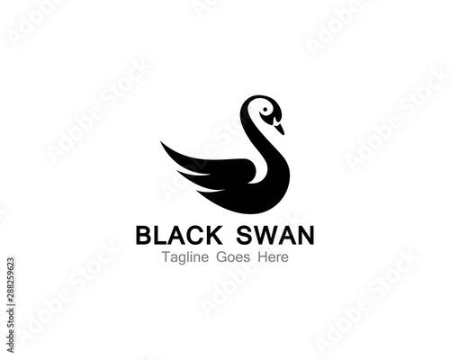 Fototapeta Naklejka Na Ścianę i Meble -  Swan logo Template vector illustration design