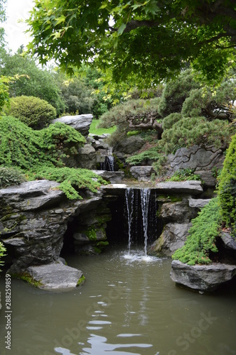 Fototapeta Naklejka Na Ścianę i Meble -  Jardín japonés
