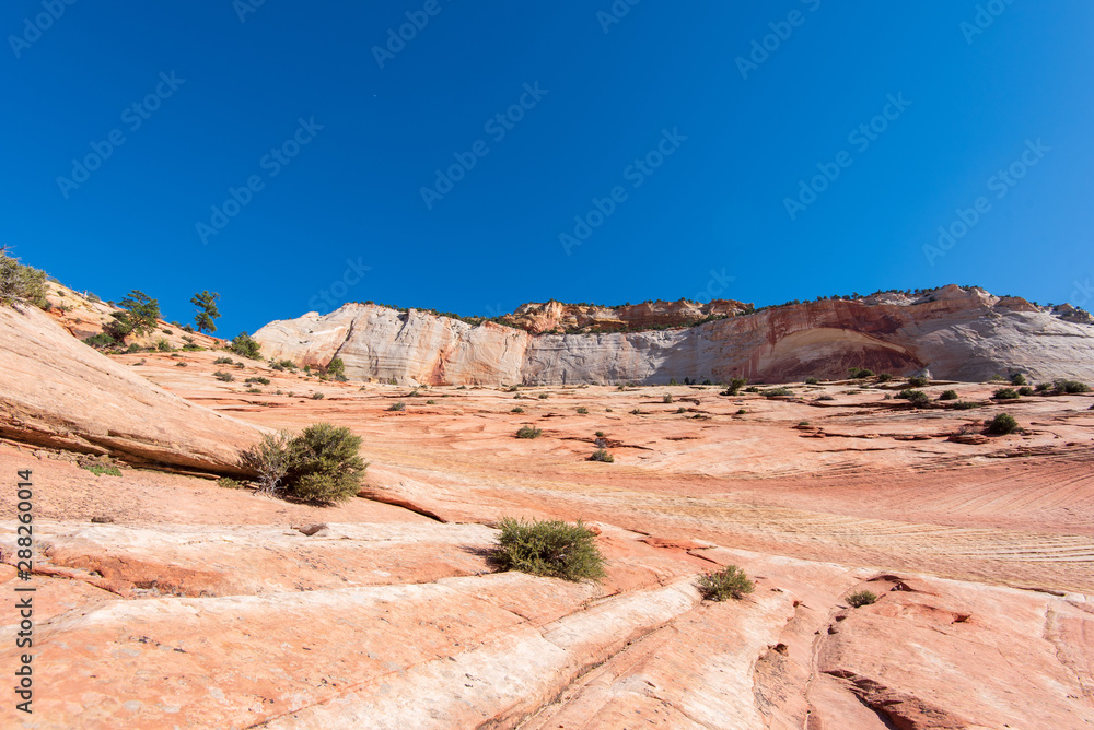 Zion National Park landscape of red and white stone and cliff in the background