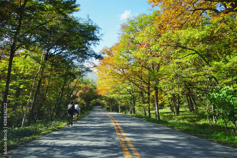ロードバイクが走る紅葉の道/It is Nikko City in Tochigi Prefecture, Japan. ロードバイクが走る紅葉の道/It is Nikko City in Tochigi Prefecture, Japan.
