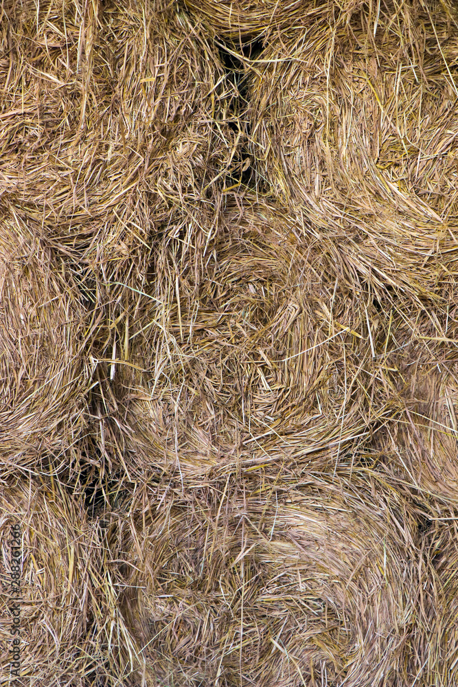 Round bale of Hay