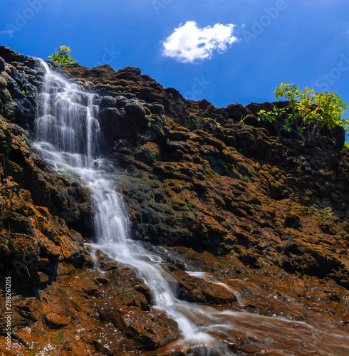 waterfall in forest