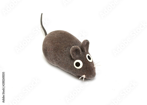 Mouse isolated on a white background.