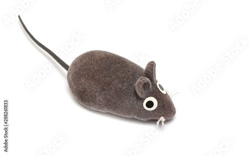Mouse isolated on a white background.