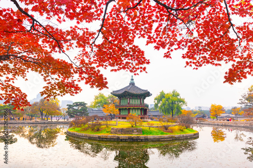 Photography Autumn in  Gyeongbokgung palace, Hyangwonjeong Pavilion, in Seoul,South Korea