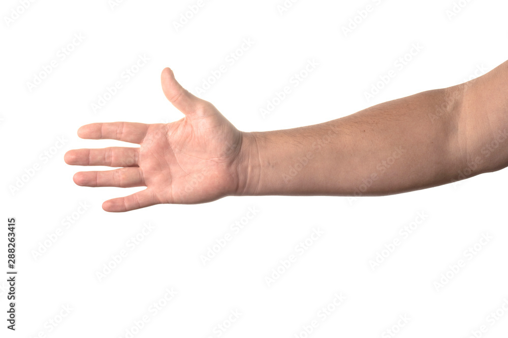 Arm. Arm.