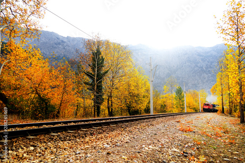 Passenger Train on countryside landscape in between colorful autumn leaves and trees in forest of Mersin, Turkey