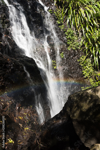 Closeup of the Toolona Falls with a rainbow in the spray. In Lamington National Park  Queensland  Australia.