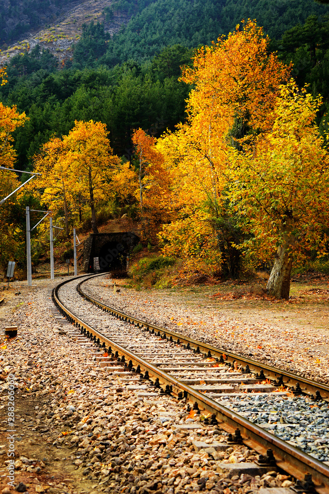 Railroad tracks on mountainside landscape in between colorful autumn leaves and trees in forest of Mersin, Turkey