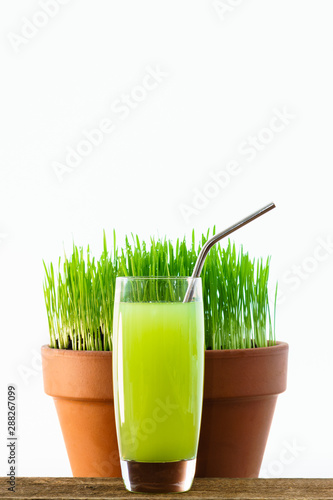 Fresh young wheatgrass growing in a terracotta pot with tall glass of juice containing a reusable drinking straw.
