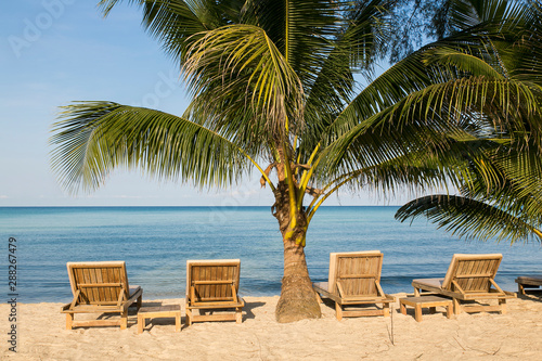 Chairs beach on white sand under the coconut trees and blue sky. © Arnon