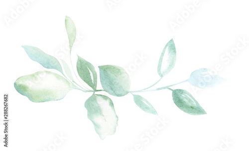 Illustration of watercolor drawing green sprigs of plants on a white isolated background in the form of an ornament