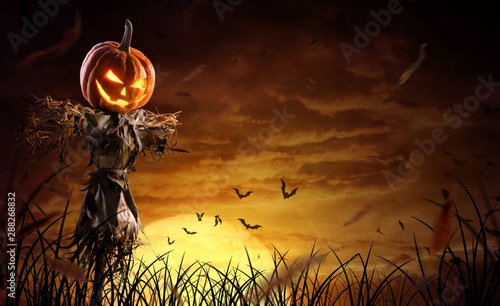 Photo halloween pumpkin scarecrow on a wide field with the moon on a scary night