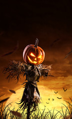 halloween pumpkin scarecrow on a wide field with the moon on a scary night