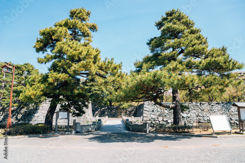 Tokushima Central Park Tokushima Castle Ruins in Shikoku, Japan photo