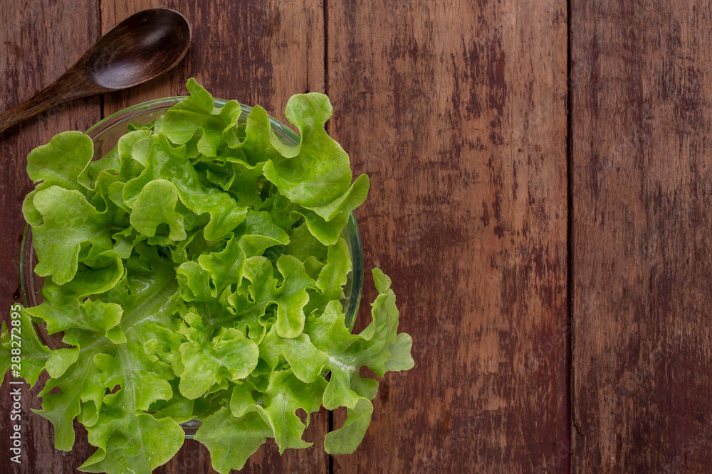 Lettuce concept that is placed on a brown wooden floor. Lettuce concept that is placed on a brown wooden floor.