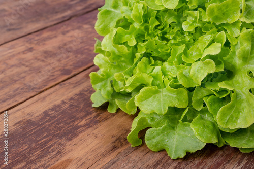 Lettuce concept that is placed on a brown wooden floor.