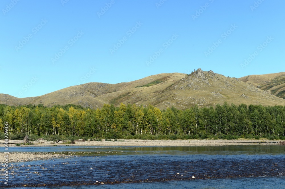  Mountain river Charysh in Western Siberia. Russia
