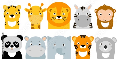 jungle animals icons, vector animals, safari animals, animal faces