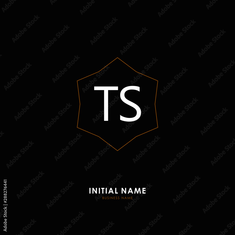 TS TS Initial logo letter with minimalist concept. Vector with scandinavian style logo. TS TS Initial logo letter with minimalist concept. Vector with scandinavian style logo.