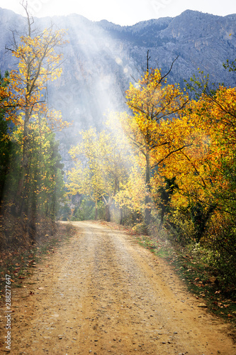 Landscape image of dirt countryside dirt road with colorful autumn leaves and trees in forest of Mersin  Turkey