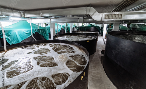 Schilderij op canvas Inside a shrimp farm. Pond shrimp closed system.
