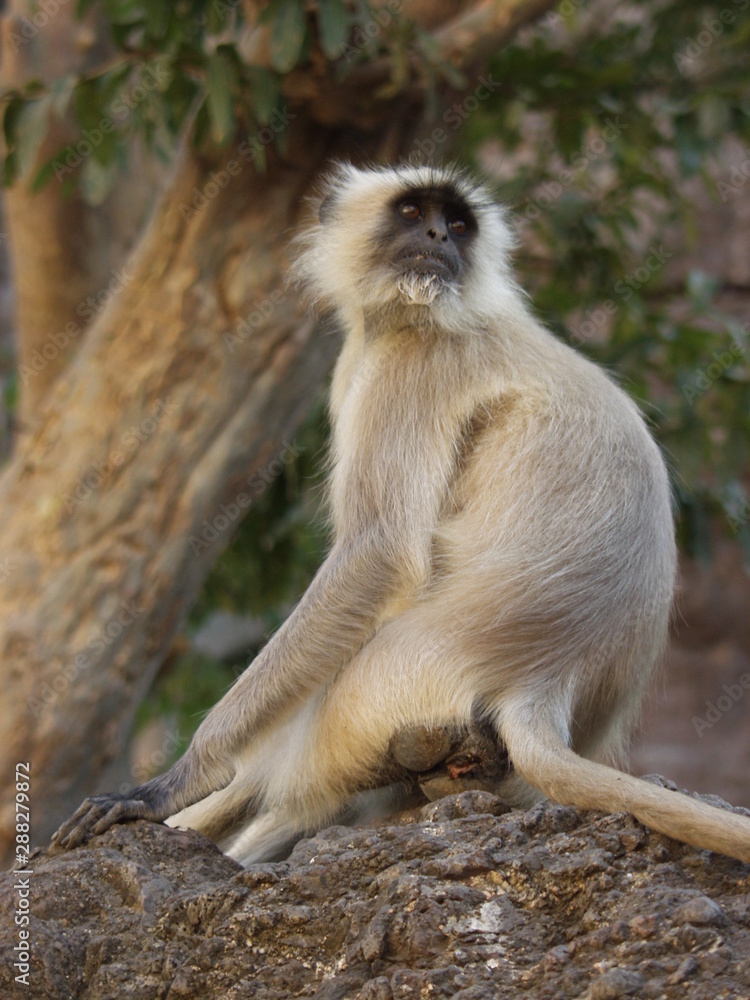 Obraz premium OLYMPUS DIGITAL CAMERA