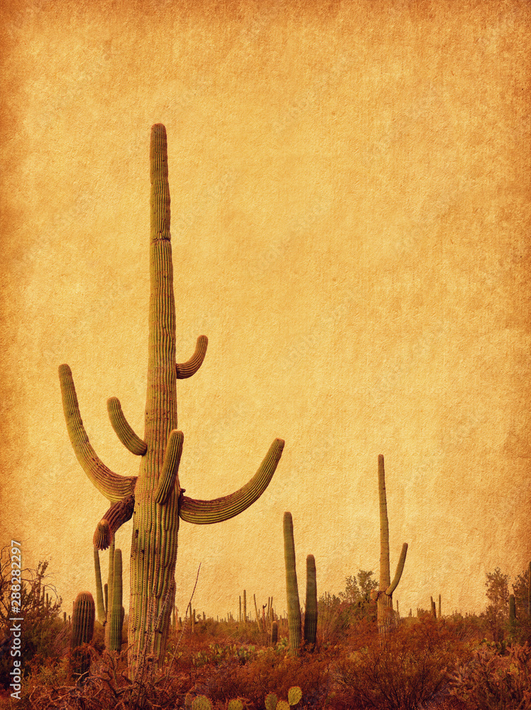 Landscape of the desert with Saguaro cacti. Photo in retro style. Added paper texture. Toned image