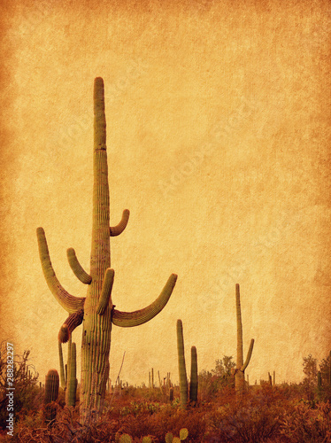 Landscape of the desert with Saguaro cacti. Photo in retro style. Added paper texture. Toned image