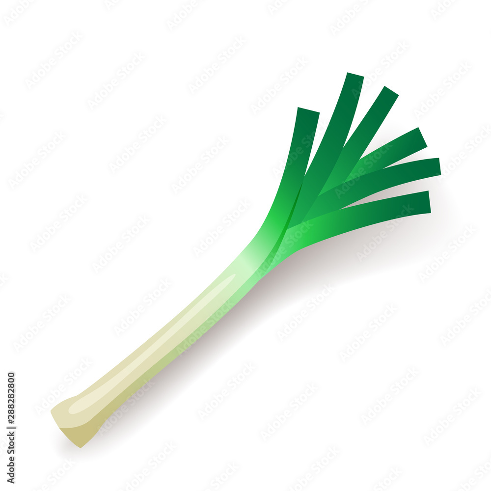 Green leek icon isolated, organic healthy food, fresh leaf, vegetable, vector illustration. Green leek icon isolated, organic healthy food, fresh leaf, vegetable, vector illustration.