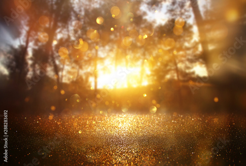 Abstract background of light burst among trees and glitter golden bokeh lights