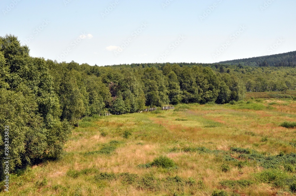 Obraz premium Moorlandschaften