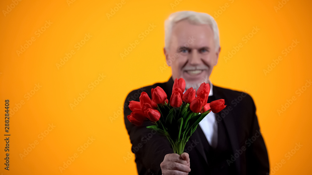 Senior gentleman presenting tulips bouquet and smiling, sincere greeting holiday Senior gentleman presenting tulips bouquet and smiling, sincere greeting holiday
