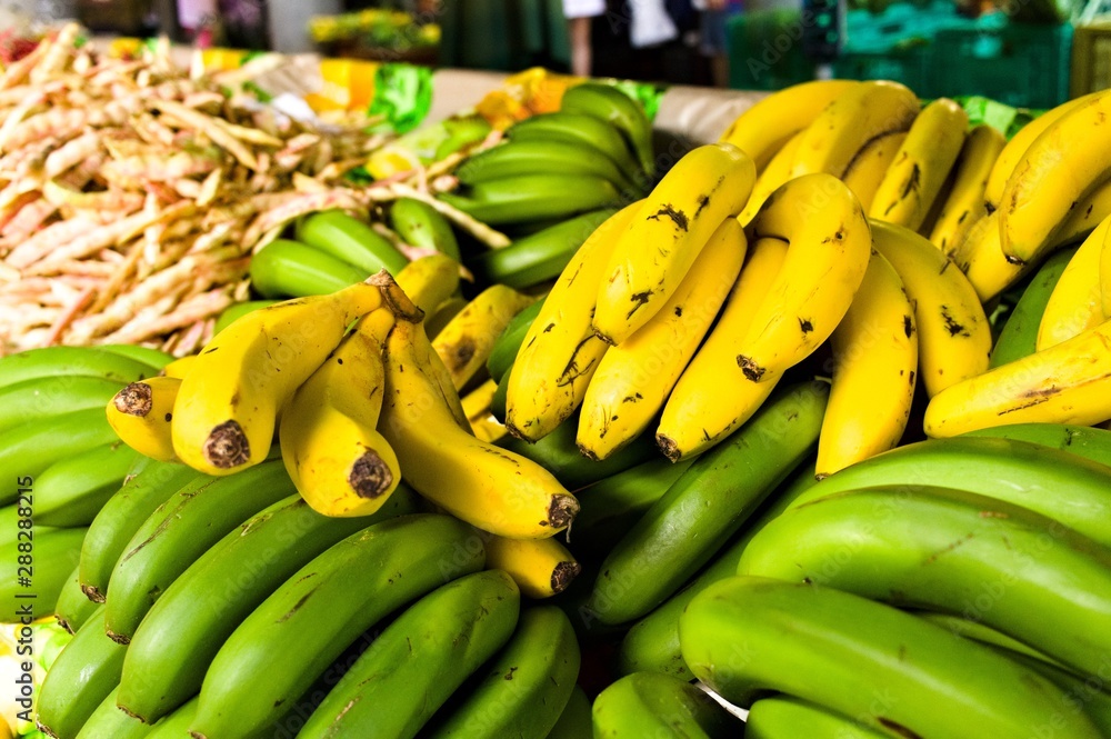 Green and yellow bananas in a fruit market (Funchal, Madeira, Portugal)
