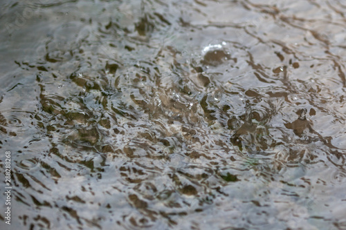 water in the river