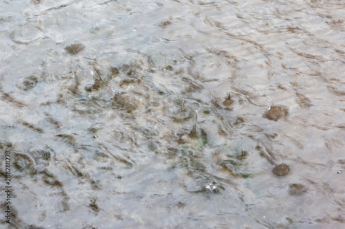 salt in the sea