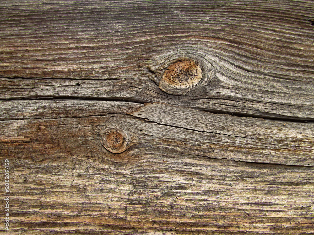 Obraz premium Wood texture background surface old natural pattern. Blank for design.