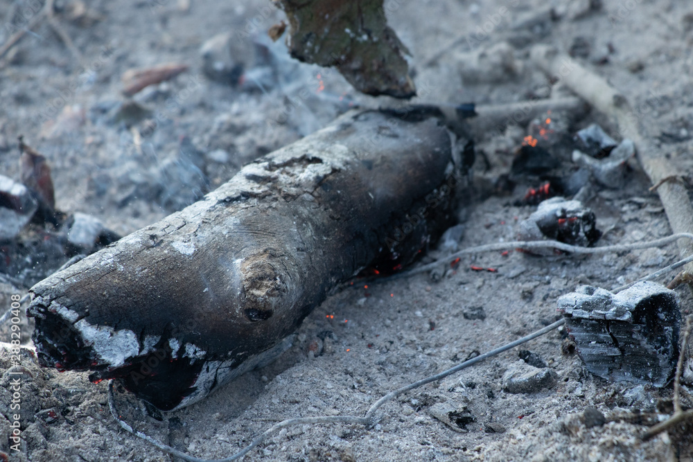 Fototapeta premium ashes