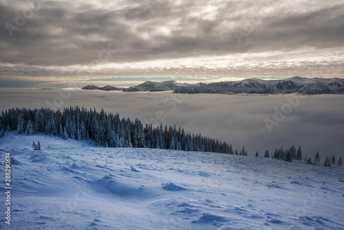 Winter landscapes from the Ukrainian Carpathian Mountains with many fogs and snowy slopes of mountains and trees in the frame