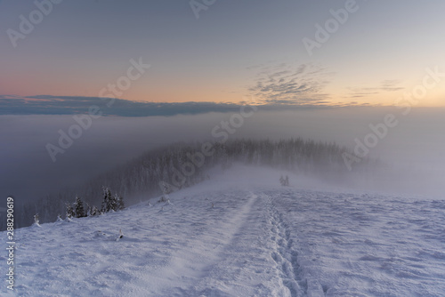 Winter landscapes from the Ukrainian Carpathian Mountains with many fogs and snowy slopes of mountains and trees in the frame © reme80