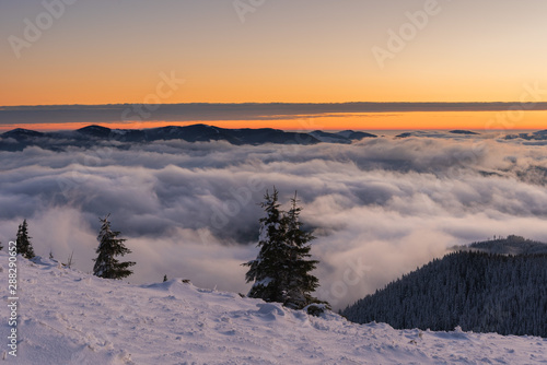 Winter landscapes from the Ukrainian Carpathian Mountains with many fogs and snowy slopes of mountains and trees in the frame © reme80