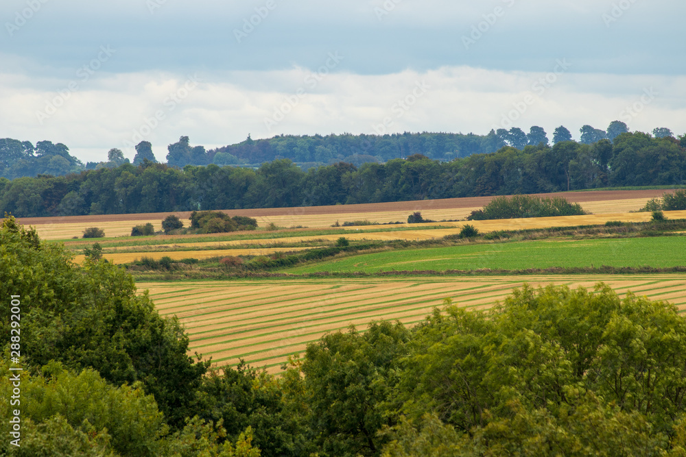 rural landscape with wheat field and blue sky rural landscape with wheat field and blue sky