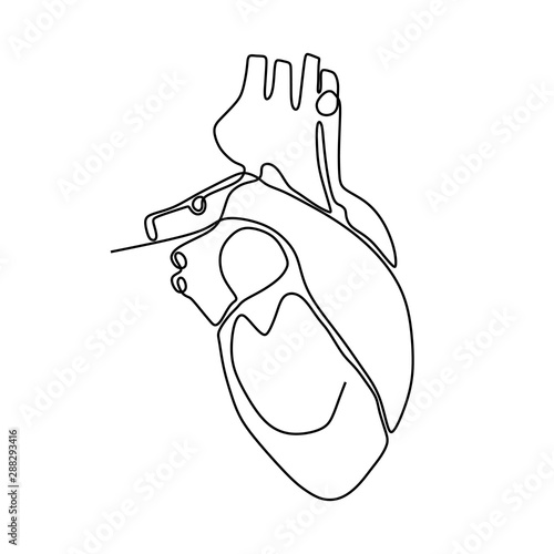 continuous one line art anatomical human heart silhouette. Healthy medicine concept design one sketch outline drawing vector illustration