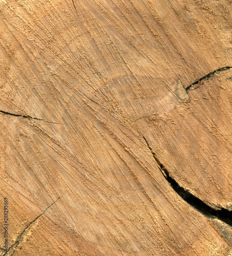 Background saw cut wood with traces of saw teeth